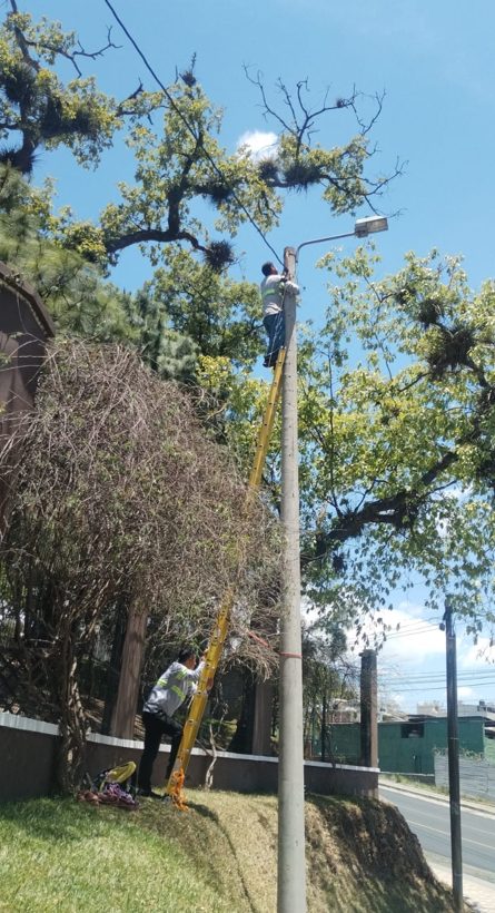 Trabajo realizado - Multiservicios Libanger